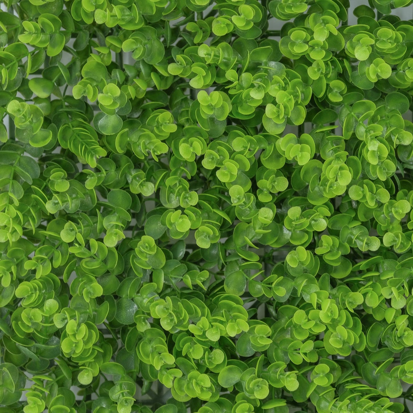 UN-REAL Artificial Hedge 50x50cm Baby Eucalyptus, UV-Treated, 5-Year Warranty, Indoor/Outdoor