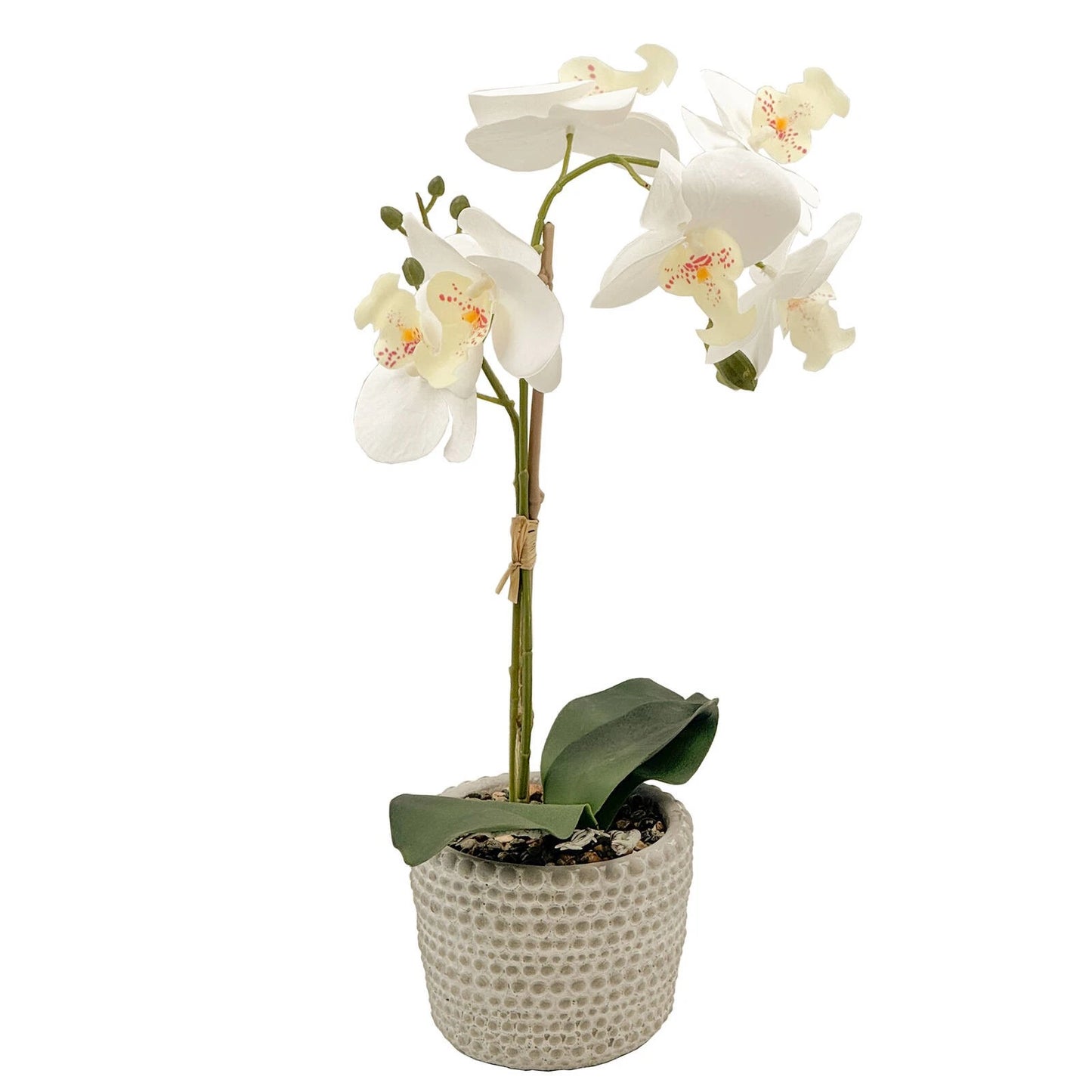 Un-Real 38cm White Artificial Orchid Flowers in Decor Pot - Elegant, Low Maintenance Decor
