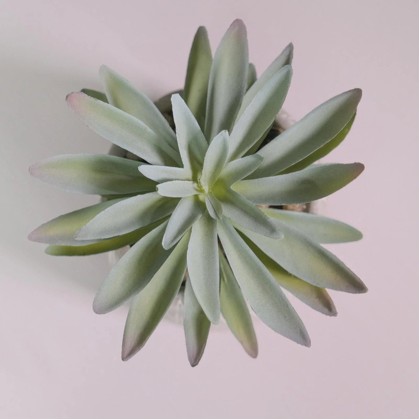 UN-REAL 20cm Green Artificial Succulent in Modern Grey Pot - Realistic, Low Maintenance Decor