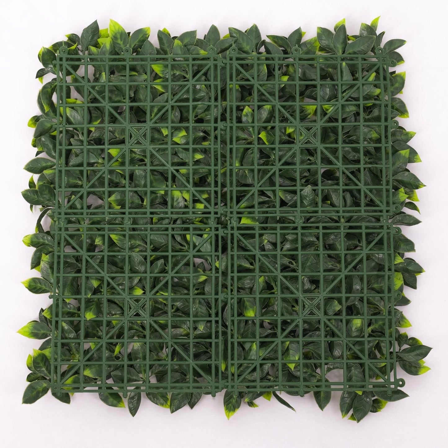 UN-REAL 50x50cm Pittosporum Artificial Hedge Tile, UV Treated, Weather-Resistant, Easy Install