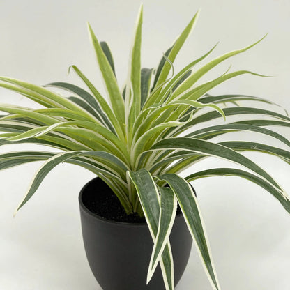 UN-REAL 30cm Artificial Spider Plant - Lifelike Indoor Decor, Maintenance-Free, Realistic Design