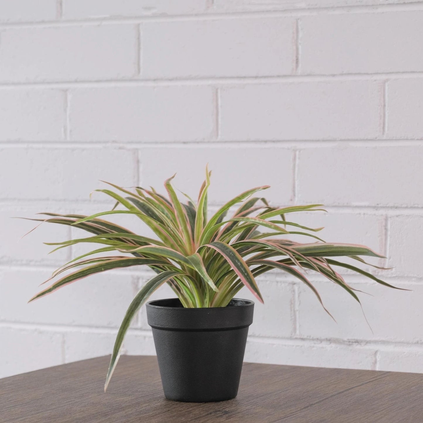 UN-REAL 30cm Pink Artificial Spider Plant - Vibrant Indoor Decor, Maintenance-Free