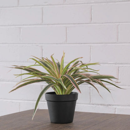 UN-REAL 30cm Pink Artificial Spider Plant - Vibrant Indoor Decor, Maintenance-Free