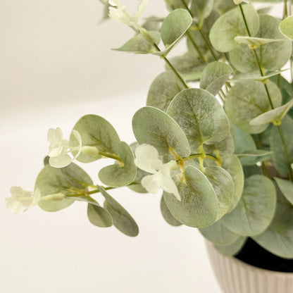 Artificial Baby Eucalyptus Plant - Green, 38cm, No Maintenance, White Pot