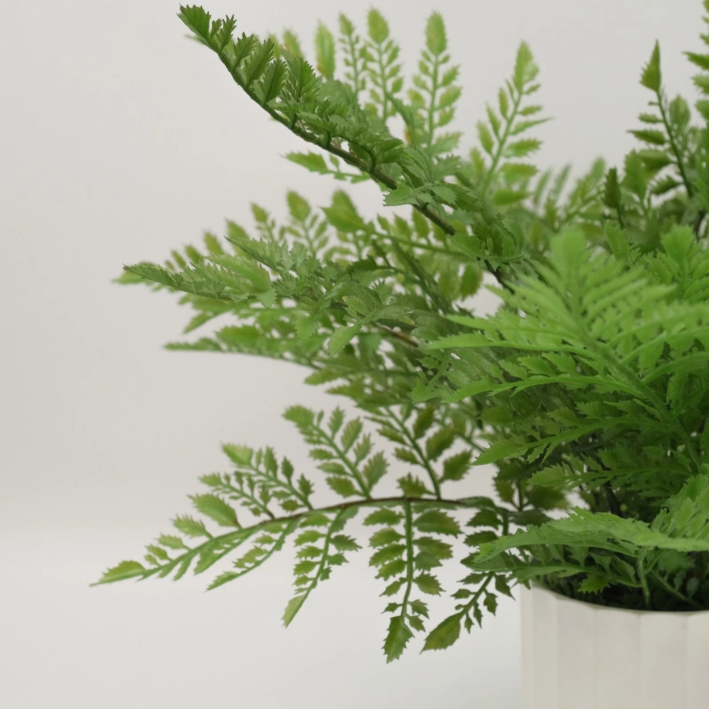 Artificial Rabbit's Foot Fern 35cm - Lifelike Faux Plant with Furry Rhizomes, No Maintenance