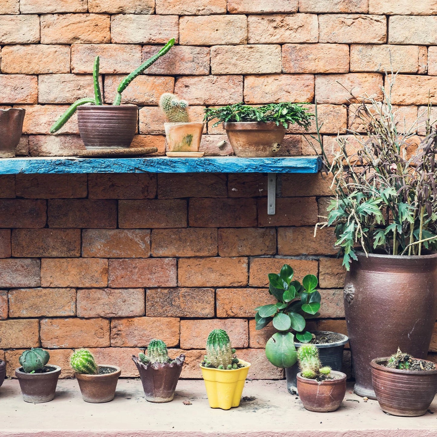 Carinya Galvanised Angle Bracket 300x300mm Heavy-Duty Steel Indoor/Outdoor Use