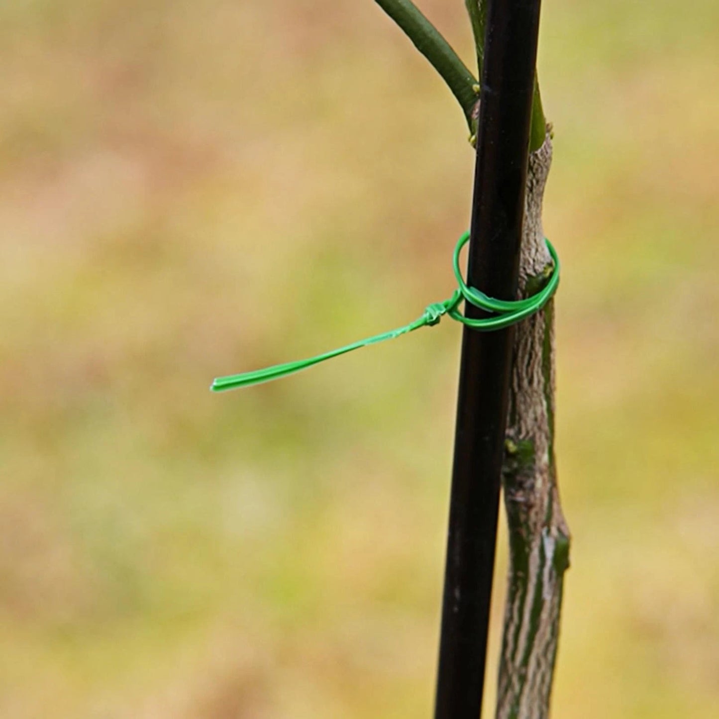 Jack 100m Dark Green Twist Plant Tie - Strong, Flexible, Rust-Resistant, 2mm Width