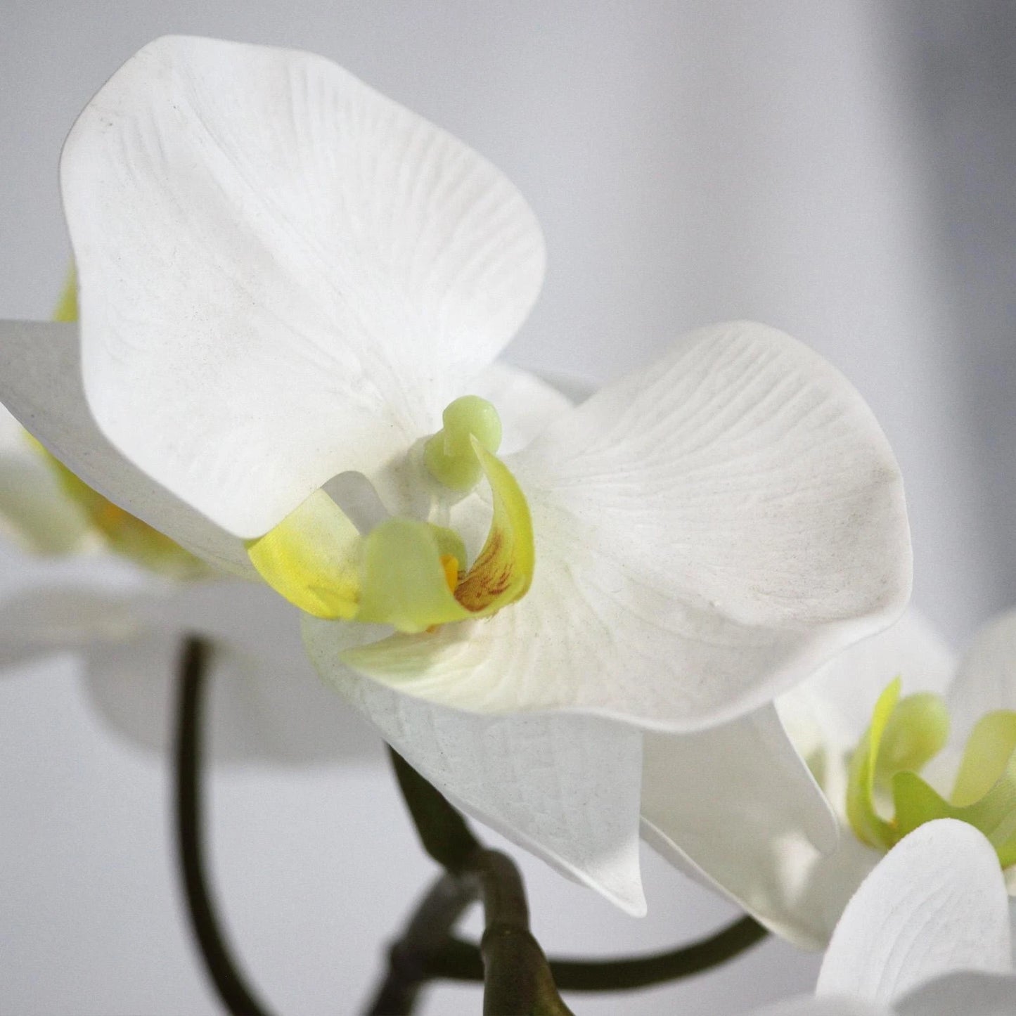 Bunnings 55cm White Orchid Artificial Plant - Realistic, Maintenance-Free Indoor Decor
