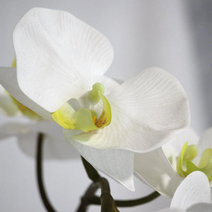 Bunnings 55cm White Orchid Artificial Plant - Realistic, Maintenance-Free Indoor Decor