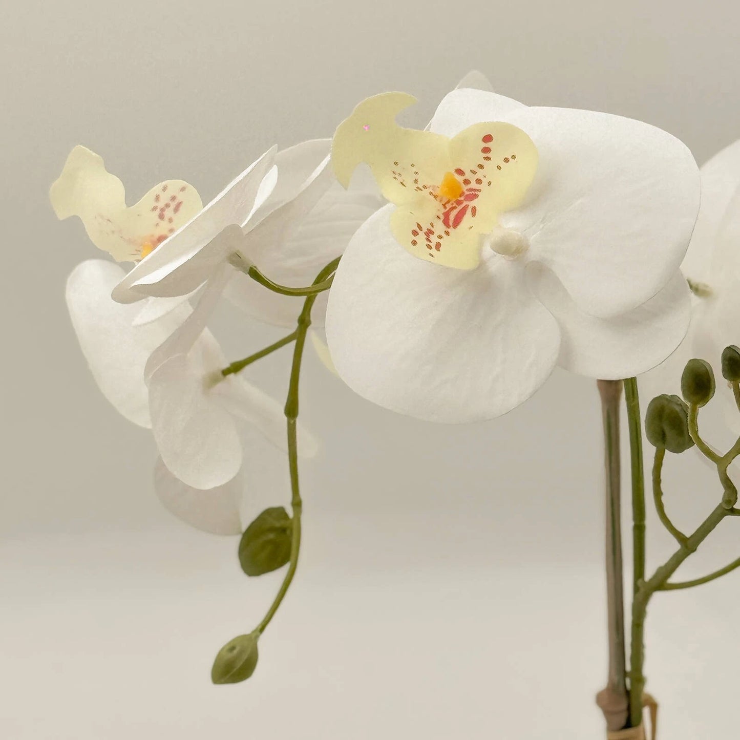 Un-Real 38cm White Artificial Orchid Flowers in Decor Pot - Elegant, Low Maintenance Decor