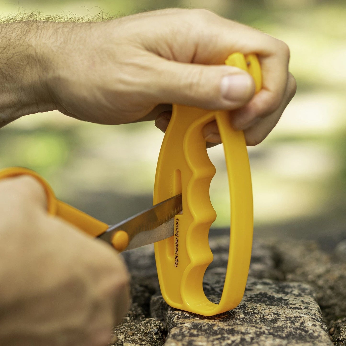 Smith's 10-Second Knife & Scissors Sharpener with Carbide Blades & Safety Guards