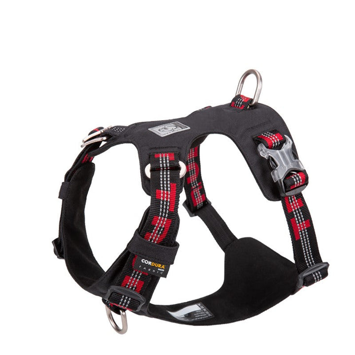 Lightweight 3M reflective Harness Black 2XS | Auzzi Store