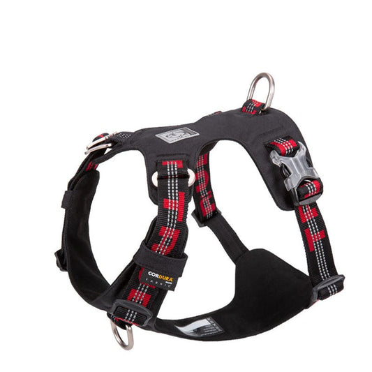Lightweight 3M reflective Harness Black S | Auzzi Store