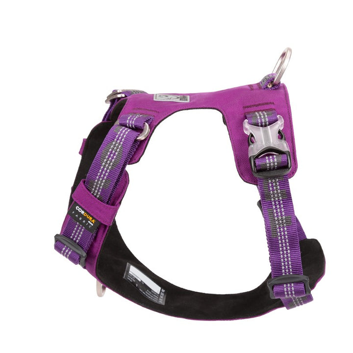 Lightweight 3M reflective Harness Purple L | Auzzi Store