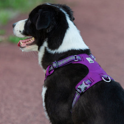 Lightweight 3M reflective Harness Purple L | Auzzi Store