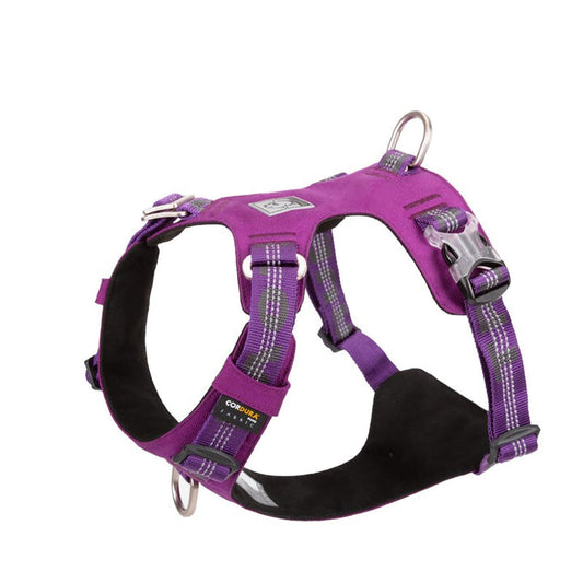 Lightweight 3M reflective Harness Purple S | Auzzi Store
