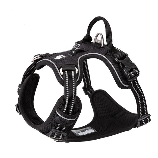 No Pull Harness Black XS | Auzzi Store