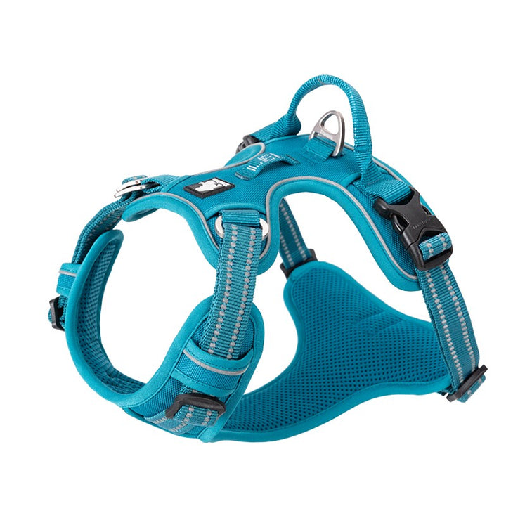 No Pull Harness Blue L | Auzzi Store