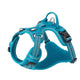 No Pull Harness Blue XS | Auzzi Store