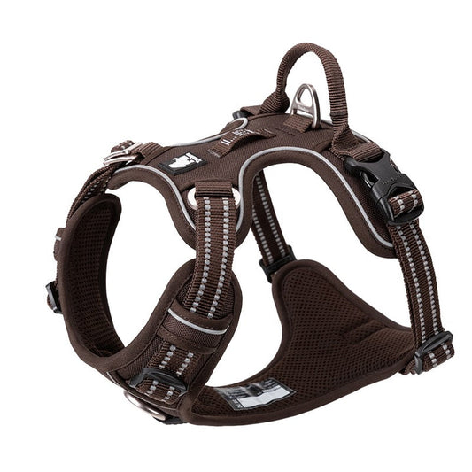 No Pull Harness Brown L | Auzzi Store
