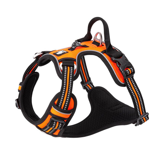 No Pull Harness Orange XL | Auzzi Store