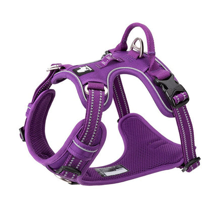 No Pull Harness Purple L | Auzzi Store