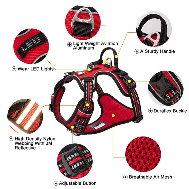 No Pull Harness Red M | Auzzi Store