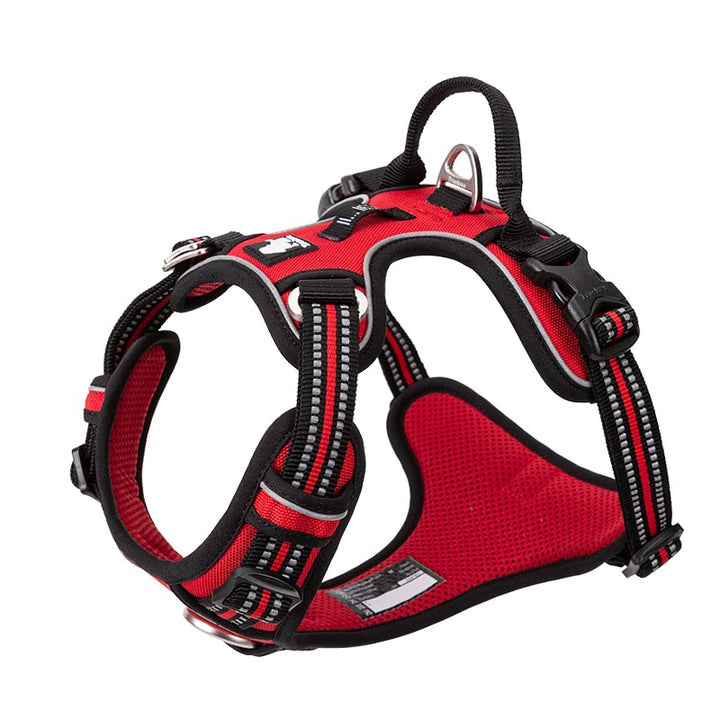 No Pull Harness Red M | Auzzi Store