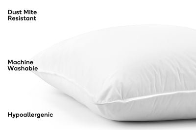 Ovela Set of 2 Microfibre European Pillows