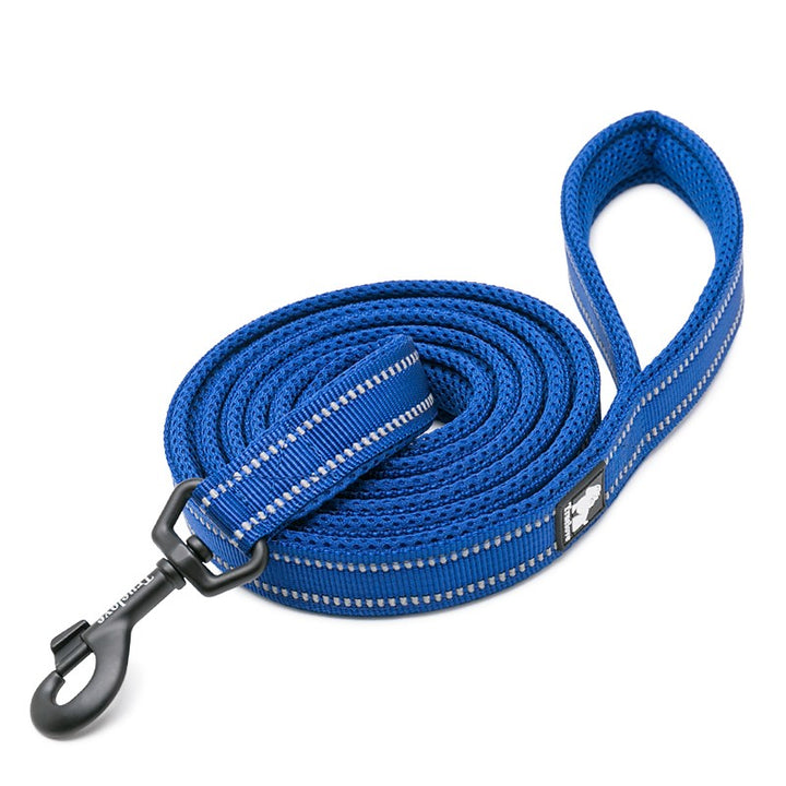 Reflective Pet Leash 2 meters Royal Blue M | Auzzi Store