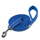 Reflective Pet Leash 2 meters Royal Blue M | Auzzi Store