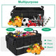 UGREEN 80710 Multifunctional Car Trunk Organizer Black | Auzzi Store