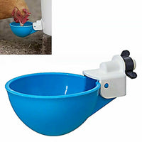 Bird Supplies