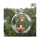 4 x Hanging Clear Glass Ball Tealight Candle Holder  - 10cm Diameter / High - Wedding Globe Decoration Terrarium Succulent Plant Mini Garden Holder Decor Craft Gift – view 3