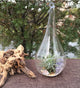 4 Pack of Hanging Clear Glass Tealight Candle Holder Tear Drop Pear Hour Glass Shape - 20cm High Terrarium Plant Mini Garden Holder Decoration Craft Gift – view 5