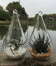 4 Pack of Hanging Clear Glass Tealight Candle Holder Tear Drop Pear Hour Glass Shape - 20cm High Terrarium Plant Mini Garden Holder Decoration Craft Gift – view 6