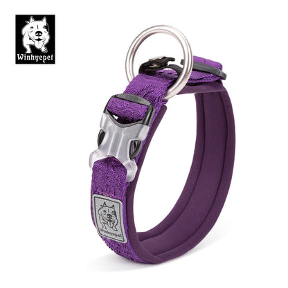 Whinhyepet Collar purple - 2XL | Auzzi Store