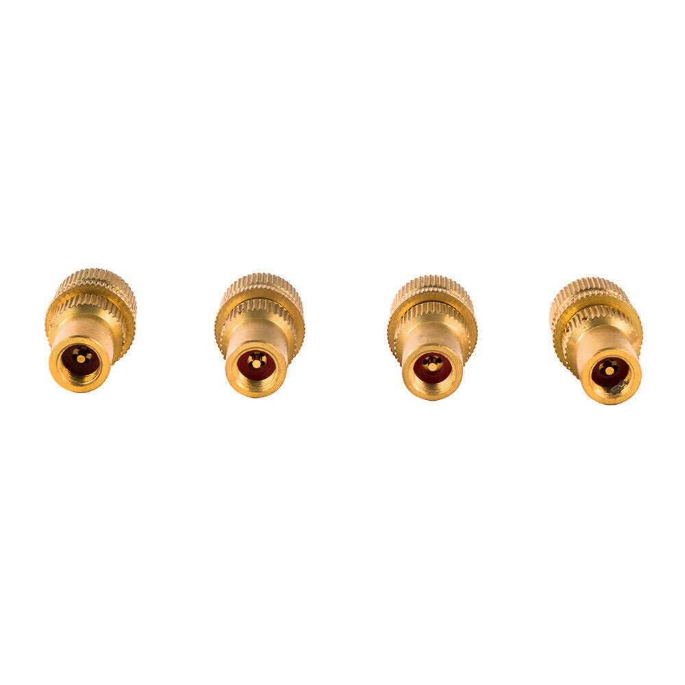 X-BULL Tyre Deflators Brass Air Deflator 0-60 PSI Tire Valve Core Tool Automatic | Auzzi Store